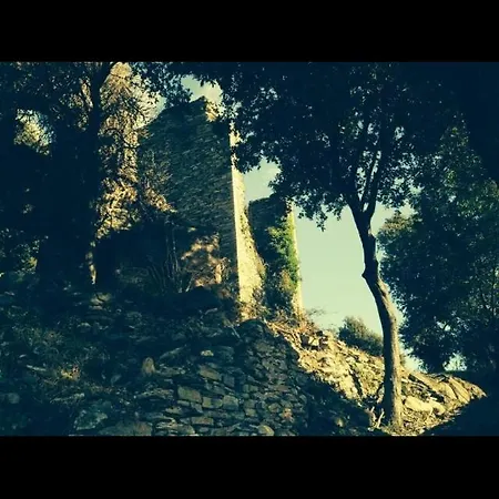 Village